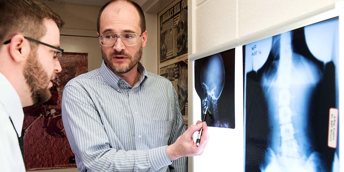 Buy a doctoral dissertation hays