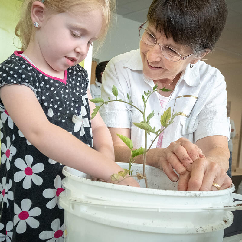 grandparent planting with a child