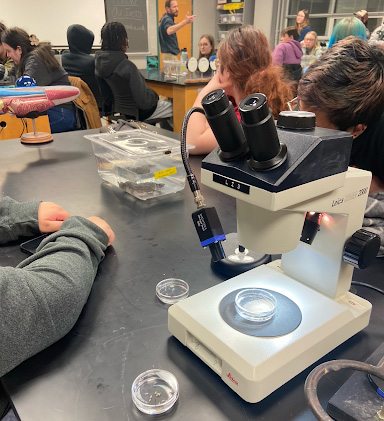 microscope on a desk and students in the classroom