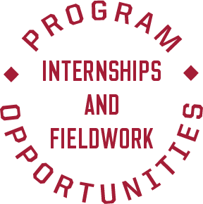 Internships and fieldwork opportunities