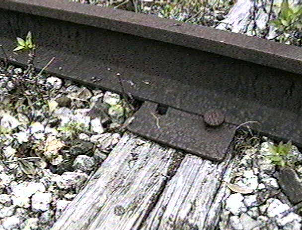 a date nail shown in a tie (date not legible)