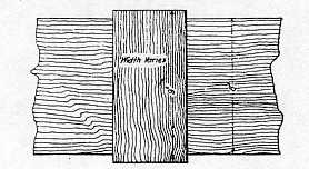 Drawing of a wood tie plate, view from above