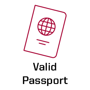 valid passport