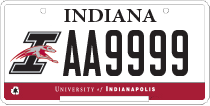 Greyhound license plate