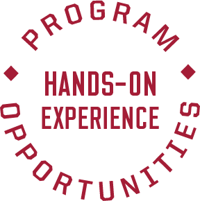 program opportunities: hands-on experience