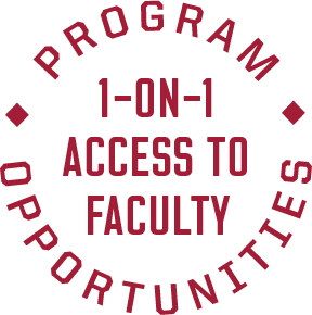 1-on-1 access to faculty