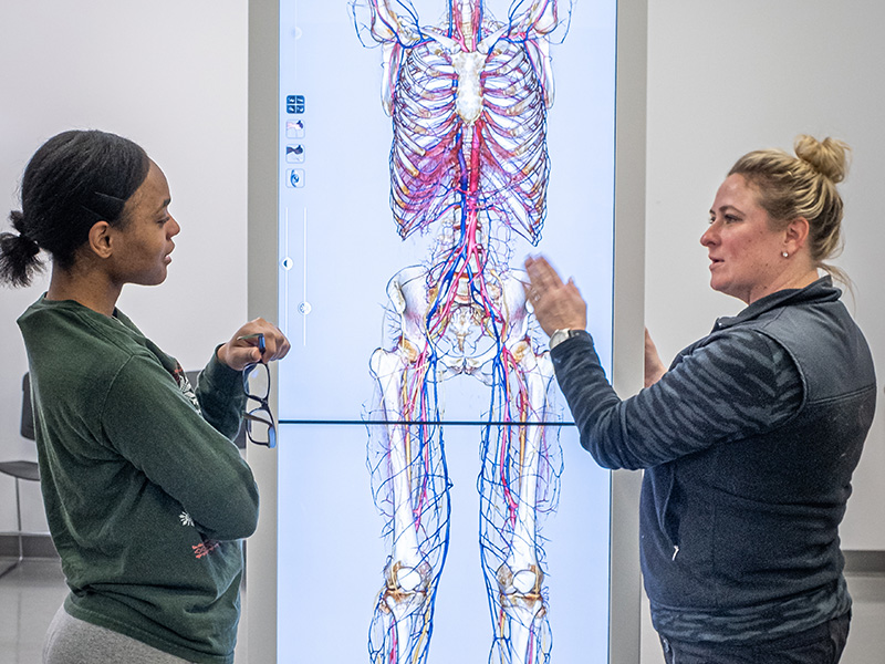 two women looking at a digital image of human anatomy