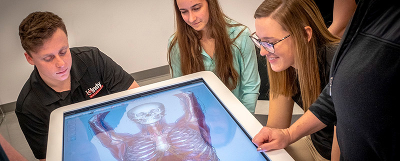 students looking at a digital table top image of the human anatomy