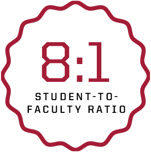 8:1 student-to-faculty ratio