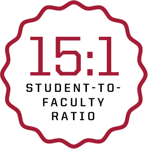 15:1 student-to-faculty ratio