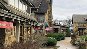 small village with shops