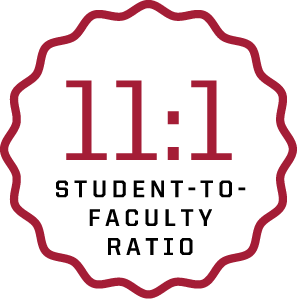 11:1 student-to-faculty ratio