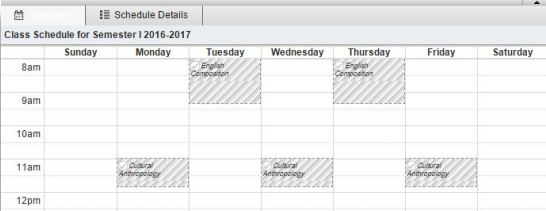 screenshot of class schedule details